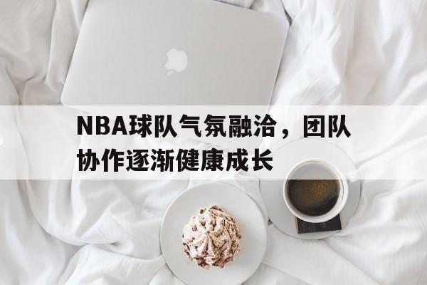 九州棋牌-NBA球队气氛融洽，团队协作逐渐健康成长的简单介绍